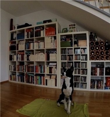 Firmenbild 4