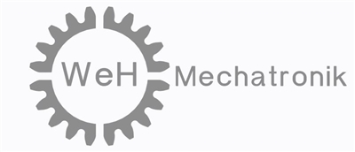 Wernfried Horn - Mechatronik für Maschinen und Fertigungstechnik