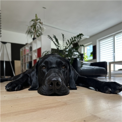 Firmenbild 4
