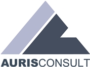 AURIS IT Consult GmbH - AURIS CONSULT