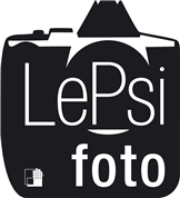 Andreas Lepsi