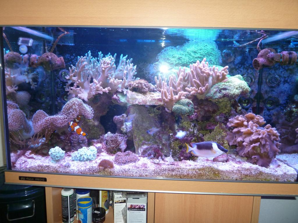 Firmenbild 8