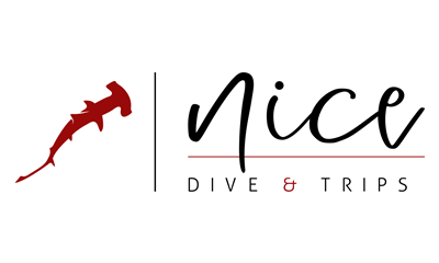 NiCe Dive & Trips GmbH - Reisebüro, Reiseveranstalter