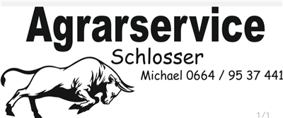 Michael Schlosser