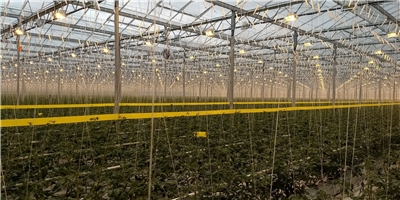 Produktbild 6