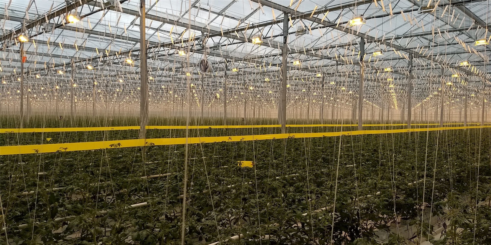 Produktbild 6