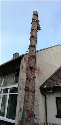 Firmenbild 5