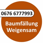 Thomas Weigensam
