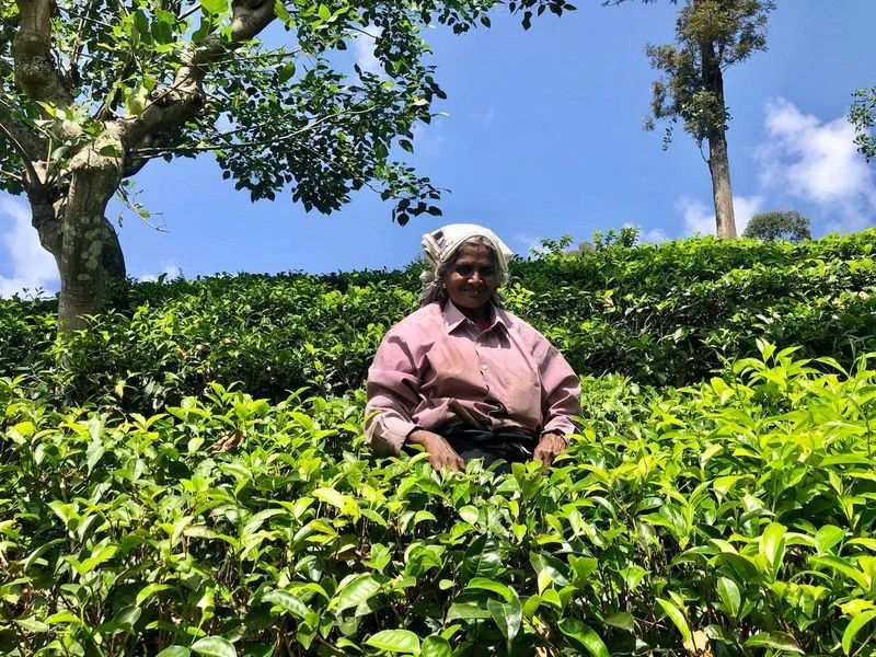 Produktbild 4