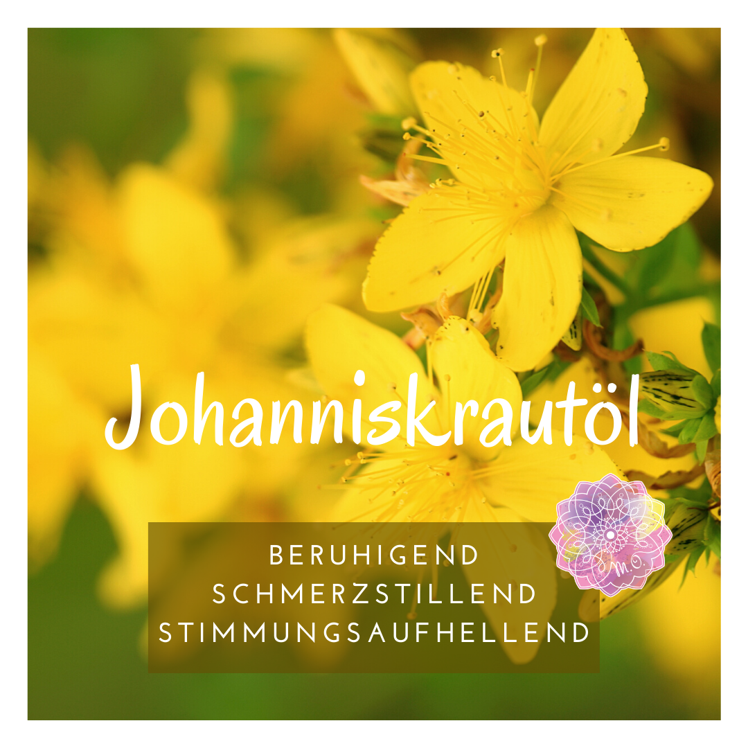 Firmenbild 3