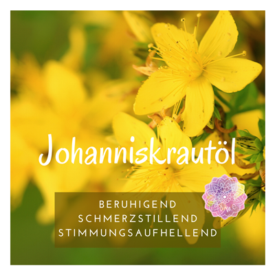 Firmenbild 3