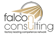 Falcon Consulting GmbH - Falcon Consulting GmbH
