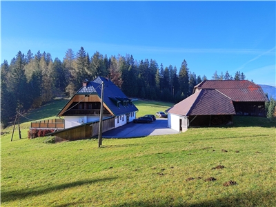 Angebot: Voitsberg | Almgasthaus sucht Nachfolger:in!