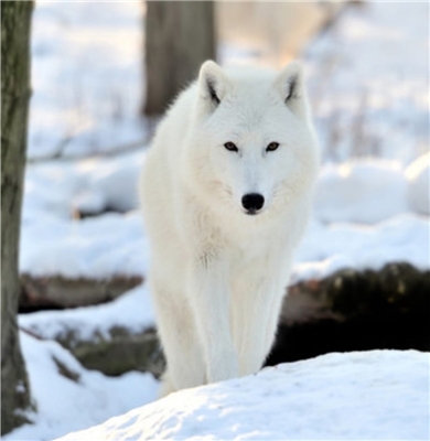 Firmenbild 1