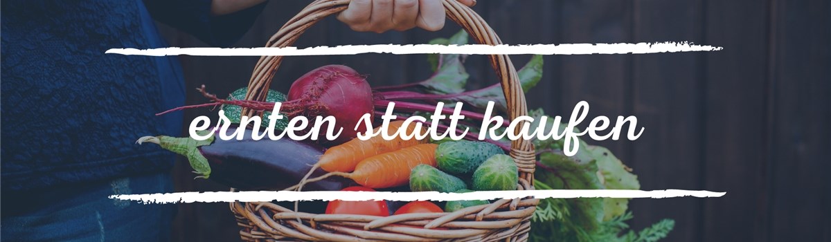 Titelbild