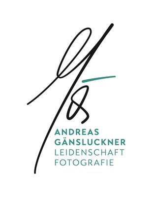 Ing. Andreas Gänsluckner