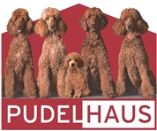 Hans-Peter Bauer - Hundesalon im Pudelhaus
