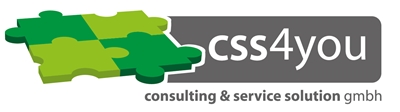 consulting & service solution GmbH - CSS4YOU | 4 Bereiche 1 Team