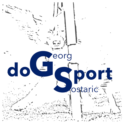 Dipl.Ing. Georg Sostarić, BSc