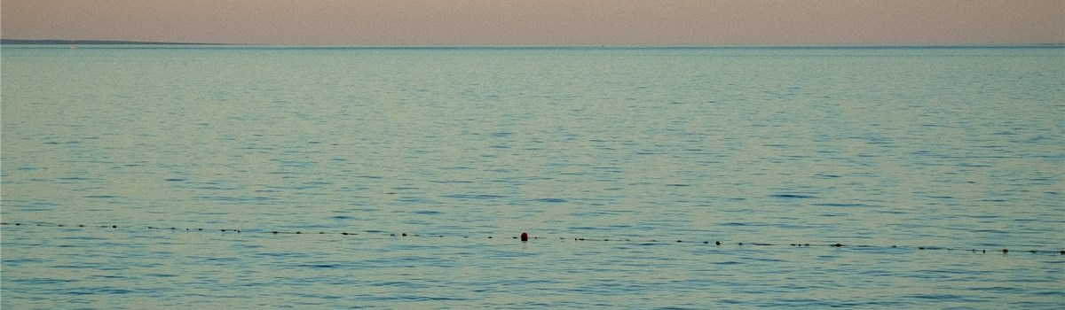 Titelbild