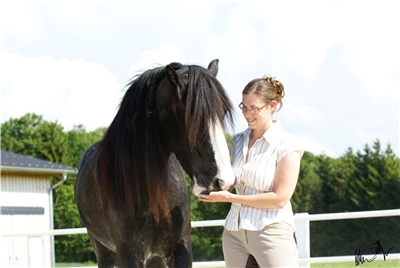 Firmenbild 2