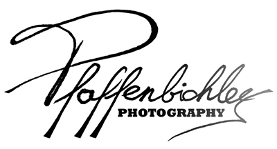 Dominik Pfaffenbichler, MSc