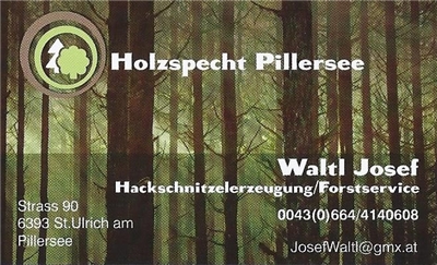Josef Waltl - Holzspecht Pillersee