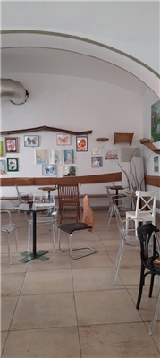 Weltberühmtes Katzen Café sucht Nachfolger:in