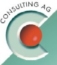 Consulting Aktiengesellschaft - CONSULTING AG