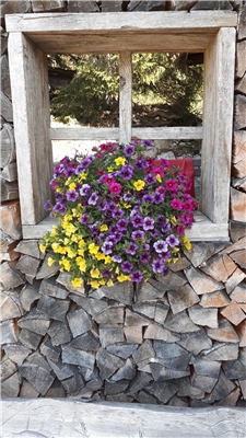 Firmenbild 1