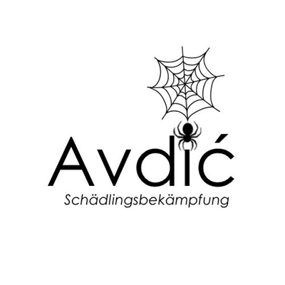 Amir Avdić