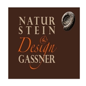 Ing. Ronald Gaßner