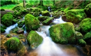 Firmenbild 7