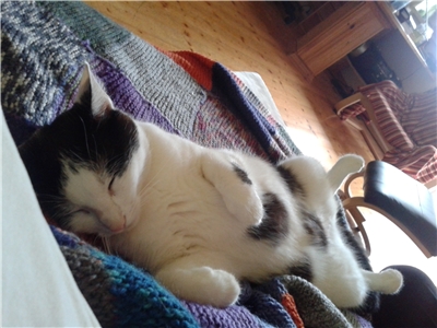 Firmenbild 1