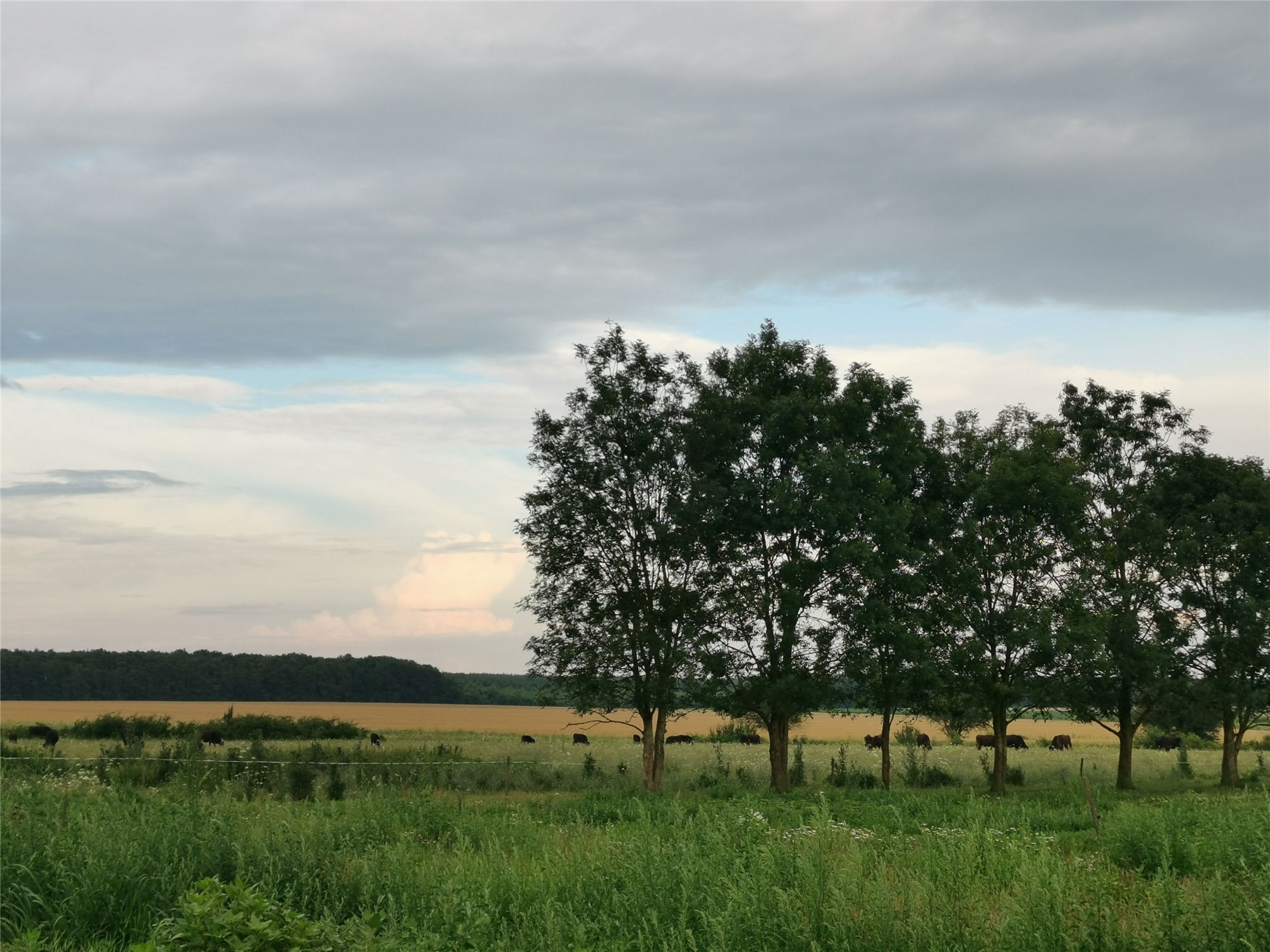 Firmenbild 2