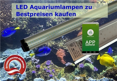 Firmenbild 7