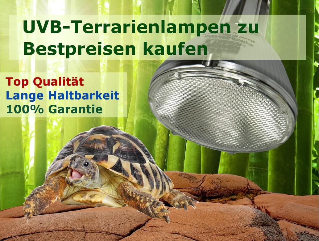Firmenbild 1