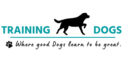 Julia Kemptner - Hundeschule Training Dogs