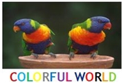 COLORFUL WORLD e.U.
