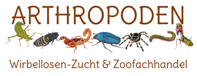 Arthropoden e.U. - Wirbellosen-Zucht & Zoofachhandel