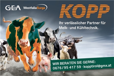Thomas Kopp