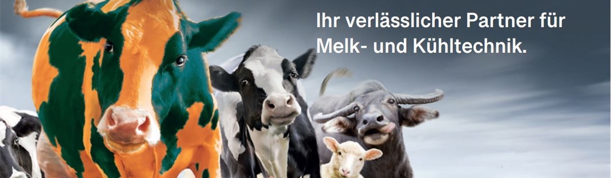 Titelbild