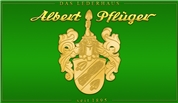 Albert Erwin Pflüger