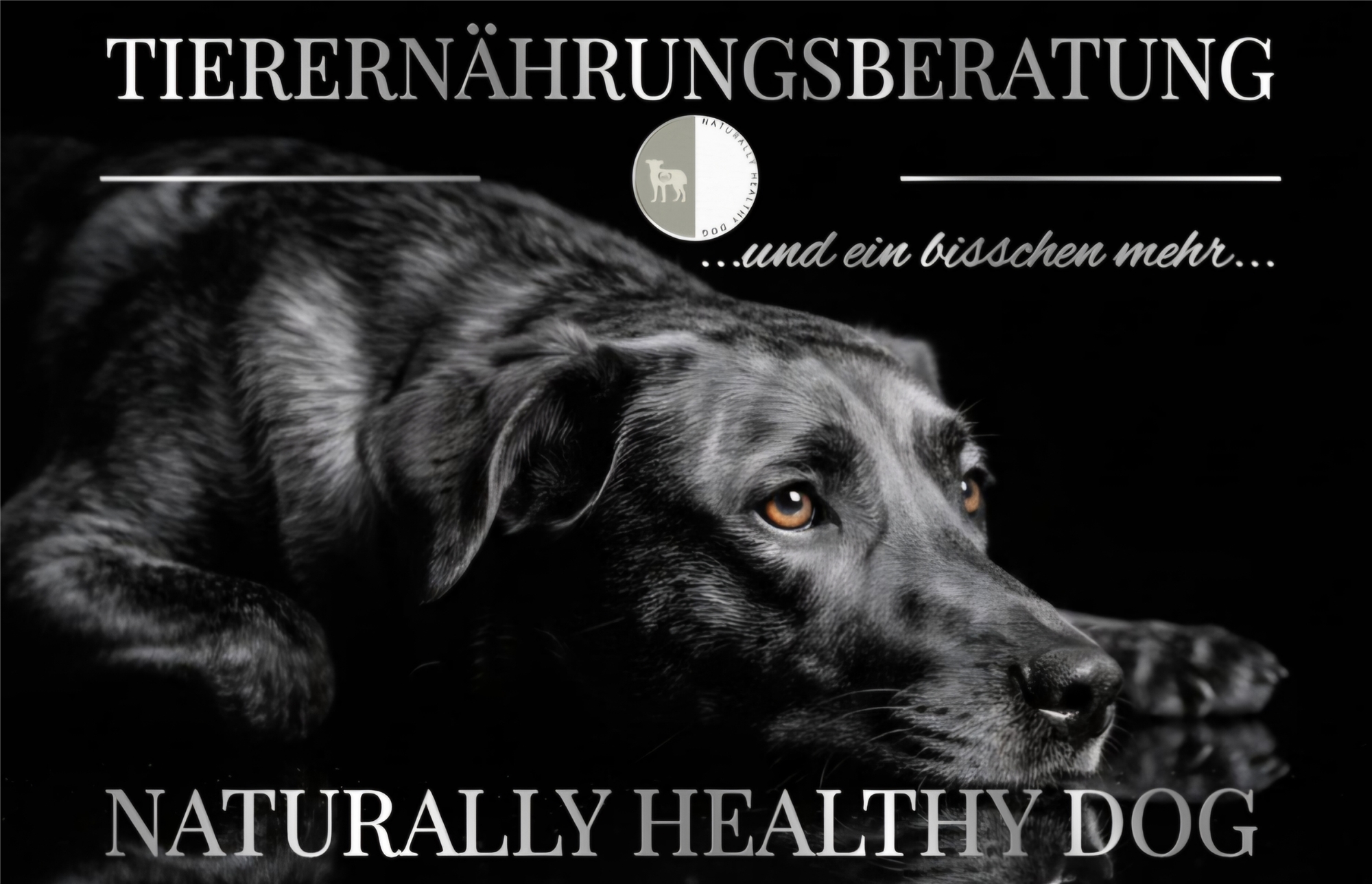 Firmenbild 4