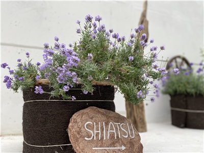 Produktbild 3