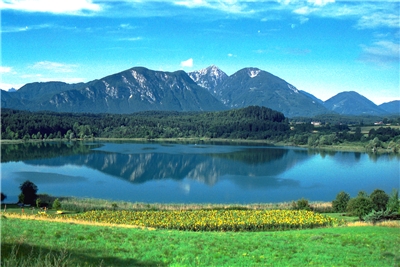 Pächter gesucht am Klopeinersee / Turnersee /Restaurant/Gastwirtschaft 