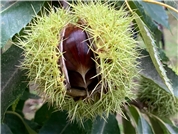 Firmenbild 1