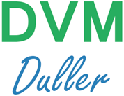 Michael Heinz Duller - DVM-Management