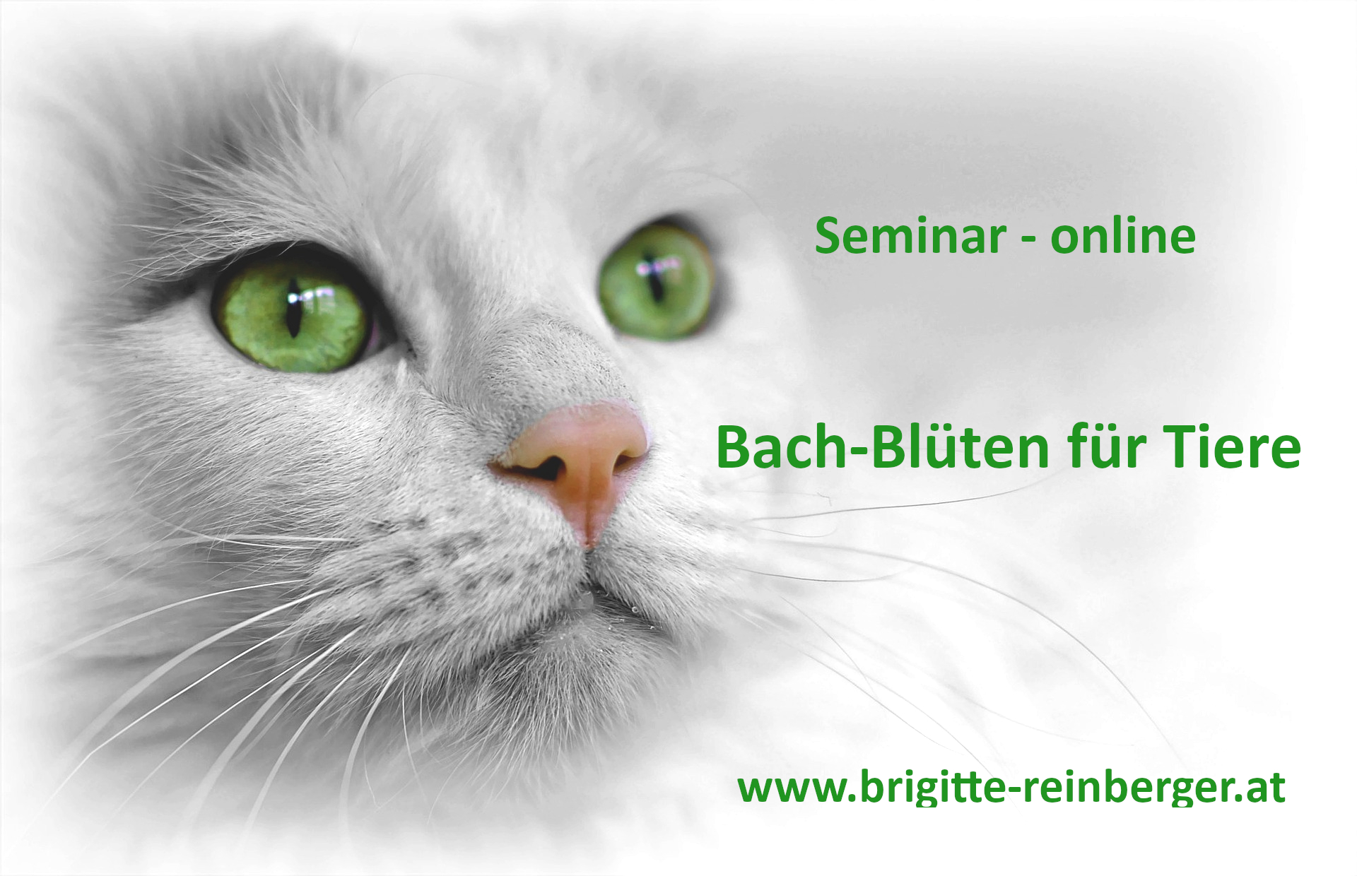 Firmenbild 5