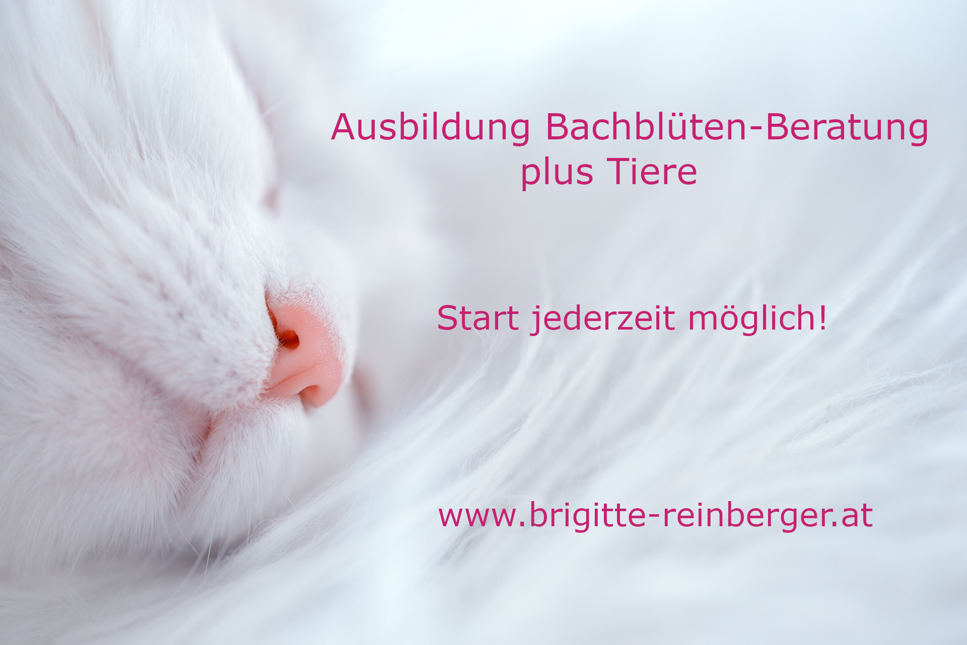 Firmenbild 2